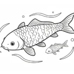 imprimer coloriage Koï pour enfant