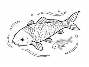 imprimer coloriage Koï pour enfant