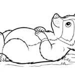 coloriage Raton Laveur et apprentissage