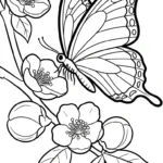 coloriage Fleur de Pêche à imprimer a4
