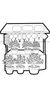 coloriage Fleur de Pêche en ligne