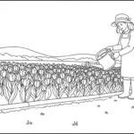 coloriage Tulipe updated pour enfant de à imprimer