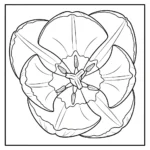 coloriage Tulipe updated et decoupage a imprimer gratuit
