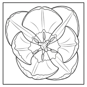 coloriage Tulipe updated et decoupage a imprimer gratuit