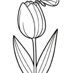 coloriage Tulipe updated à imprimer pour enfant de 10 ans