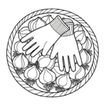coloriage Tulipe updated et decoupage a imprimer gratuit
