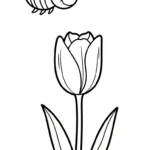 coloriage Tulipe updated pour enfant de 4 ans