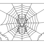 coloriage Araignée updated à imprimer pour enfant de 7 ans