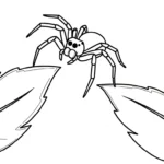 coloriage Araignée updated à imprimer pour enfant de 4 ans