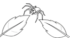 coloriage Araignée updated à imprimer pour enfant de 4 ans