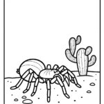 coloriage Araignée updated en ligne pour enfant