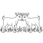 coloriage Chèvre pour enfants à télécharger