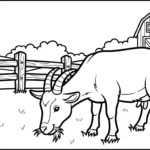 coloriage Chèvre et dessins