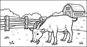 coloriage Chèvre et dessins