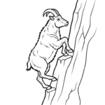 coloriage Chèvre de pour enfants