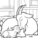 coloriage Chèvre a dessiner et imprimer