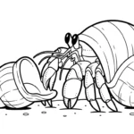 coloriage Crabe updated et apprentissage