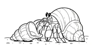 coloriage Crabe updated et apprentissage