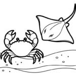 coloriage Crabe updated et apprentissage