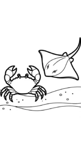 coloriage Crabe updated et apprentissage