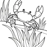 coloriage Crabe updated à imprimer gratuit