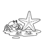 coloriage Crabe updated gratuit à imprimer