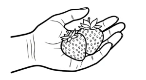 coloriage Fraise updated à imprimer pour enfant de 10 ans