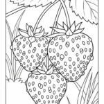coloriage Fraise updated et apprentissage