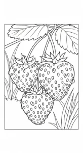 coloriage Fraise updated et apprentissage