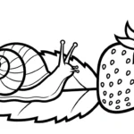 coloriage Fraise updated à imprimer pour enfant de 8 ans