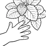 coloriage Fraise updated de pour enfants
