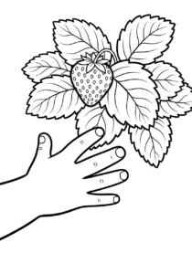coloriage Fraise updated de pour enfants