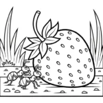 coloriage Fraise updated pour enfant de 8 ans