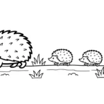 coloriage Hérisson updated à imprimer pour enfant de 7 ans
