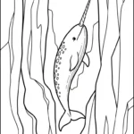 coloriage Narval pour enfant de 7 ans