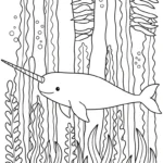 coloriage Narval gratuit a imprimer
