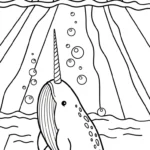 coloriage Narval à imprimer pour enfants