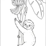 coloriage Paresseux de pour enfants