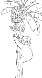 coloriage Paresseux de pour enfants