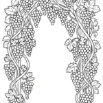 coloriage Raisin updated pour enfant de 5 ans