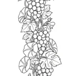 coloriage Raisin updated à imprimer pour enfant de 2 ans