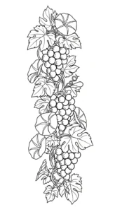 coloriage Raisin updated à imprimer pour enfant de 2 ans