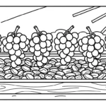 coloriage Raisin updated et apprentissage