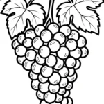 télécharger coloriage Raisin updated gratuit