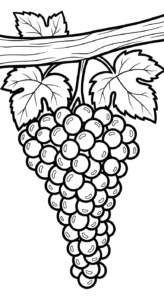 télécharger coloriage Raisin updated gratuit