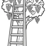 coloriage Raisin updated pour enfant gratuit