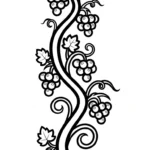 coloriage Raisin updated à imprimer pour enfant de 9 ans