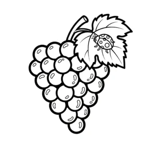 coloriage Raisin updated à imprimer pour enfant de 6 ans