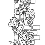 coloriage Raisin updated a imprimer pour enfant de 4 ans