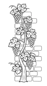 coloriage Raisin updated a imprimer pour enfant de 4 ans
